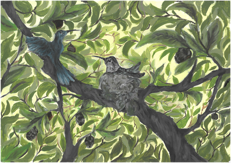 Julia Jaśkowska - Kolibry